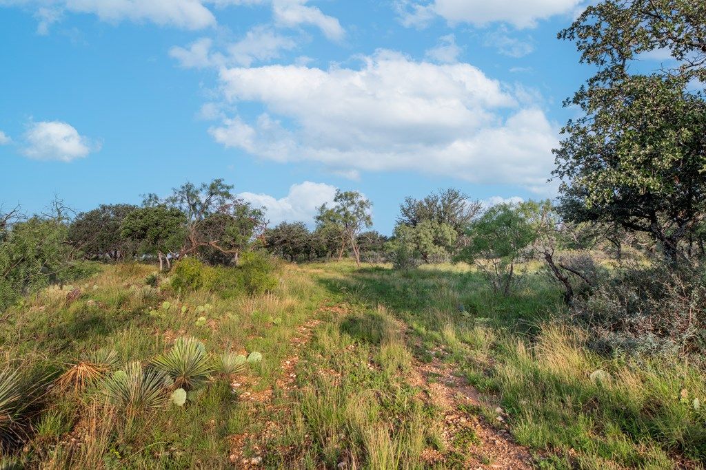 Image 4 of property listing at 7554 E Hwy 87, Eden, TX 76837