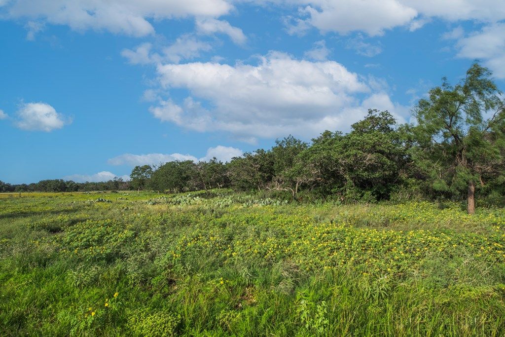 Image 41 of property listing at 7554 E Hwy 87, Eden, TX 76837
