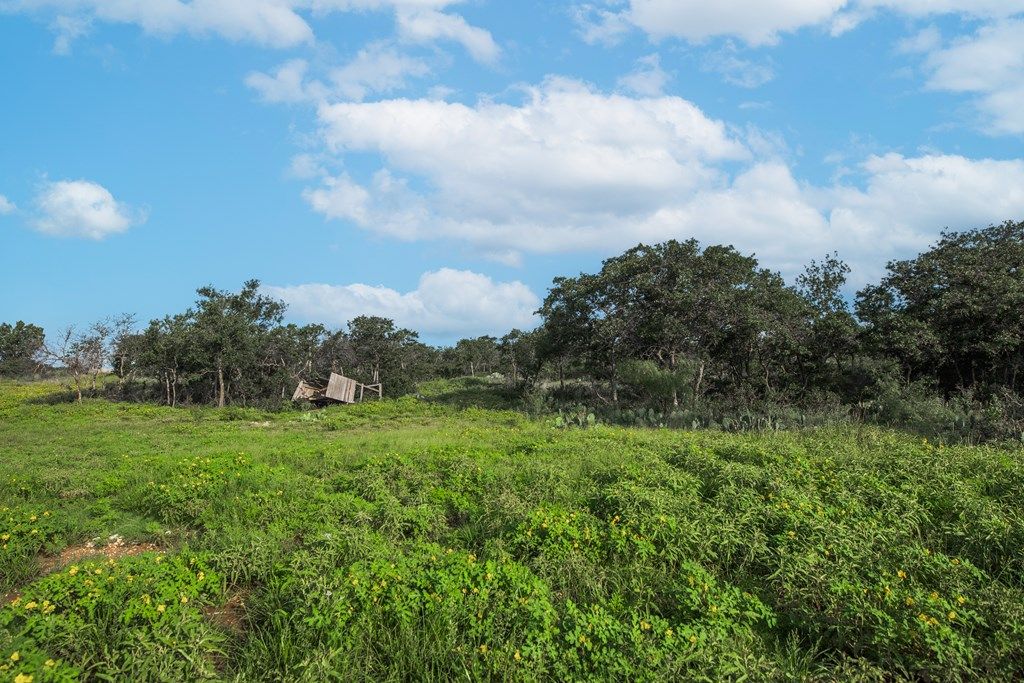 Image 42 of property listing at 7554 E Hwy 87, Eden, TX 76837