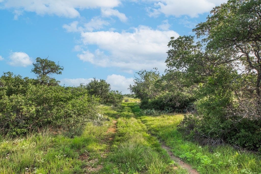 Image 45 of property listing at 7554 E Hwy 87, Eden, TX 76837