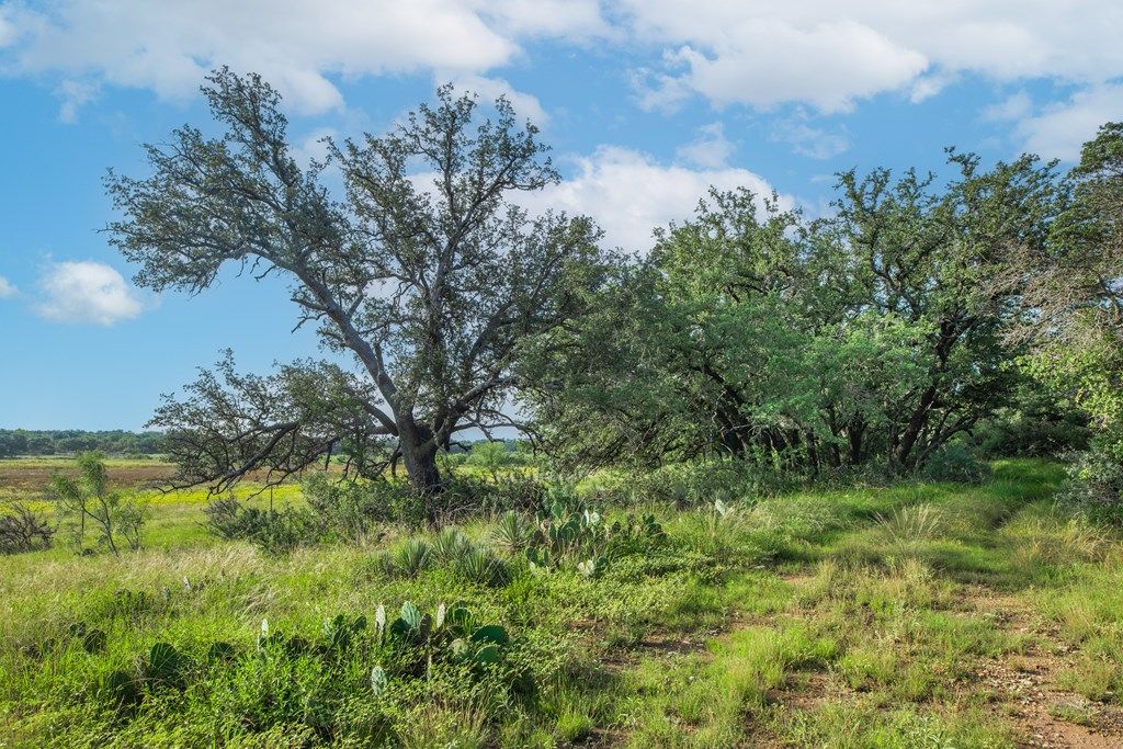Image 46 of property listing at 7554 E Hwy 87, Eden, TX 76837