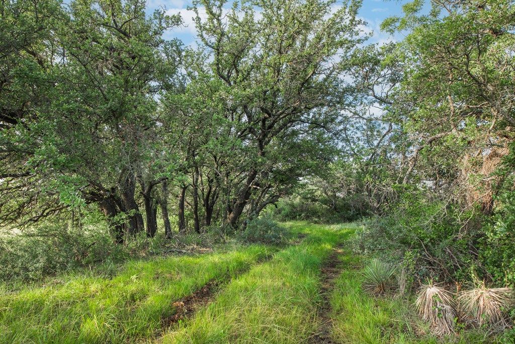 Image 47 of property listing at 7554 E Hwy 87, Eden, TX 76837