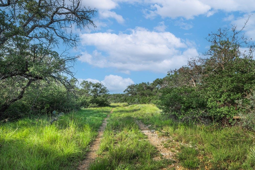 Image 49 of property listing at 7554 E Hwy 87, Eden, TX 76837