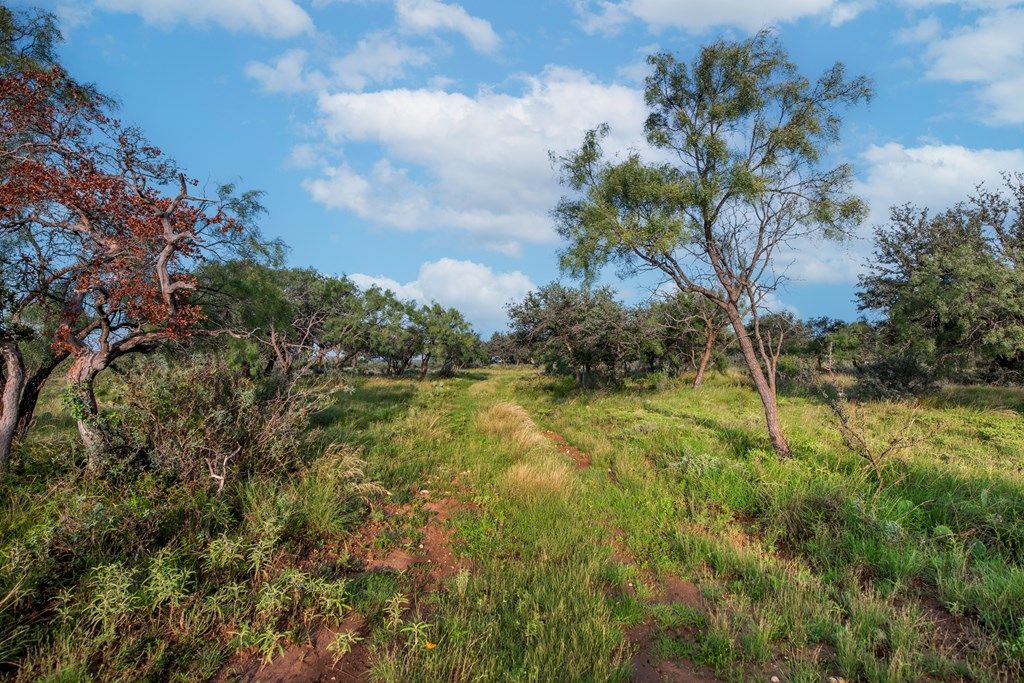 Image 5 of property listing at 7554 E Hwy 87, Eden, TX 76837