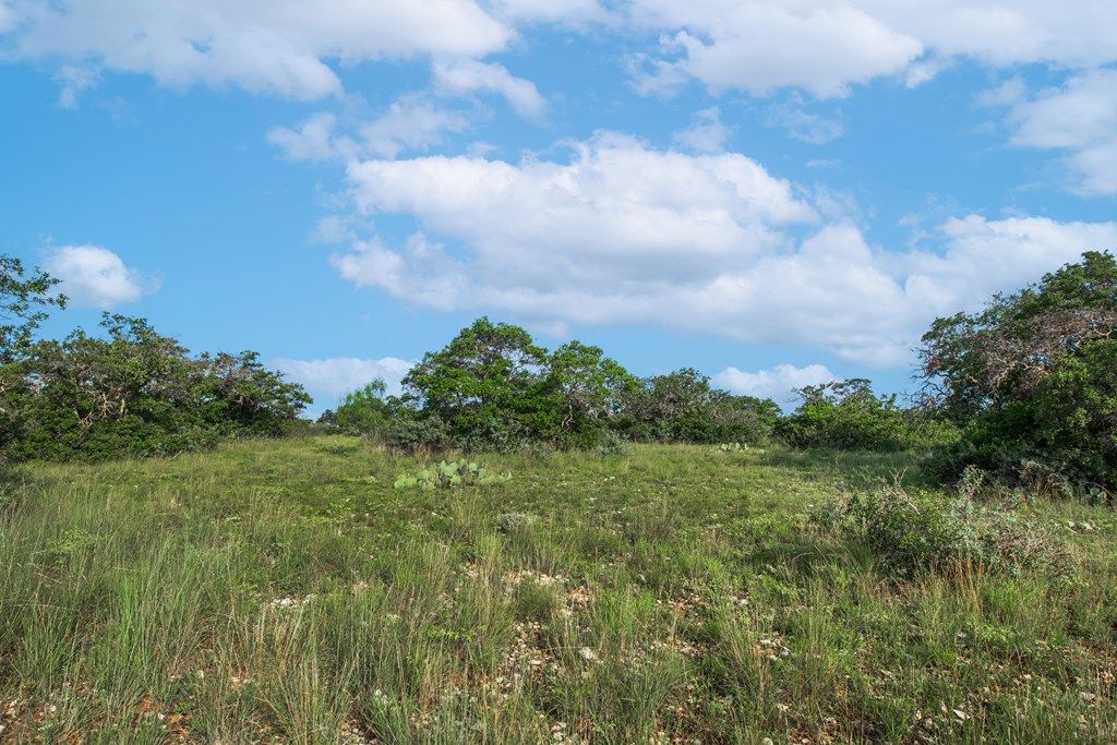 Image 50 of property listing at 7554 E Hwy 87, Eden, TX 76837