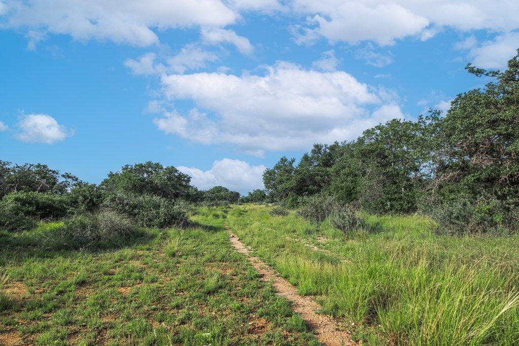 Image 51 of property listing at 7554 E Hwy 87, Eden, TX 76837