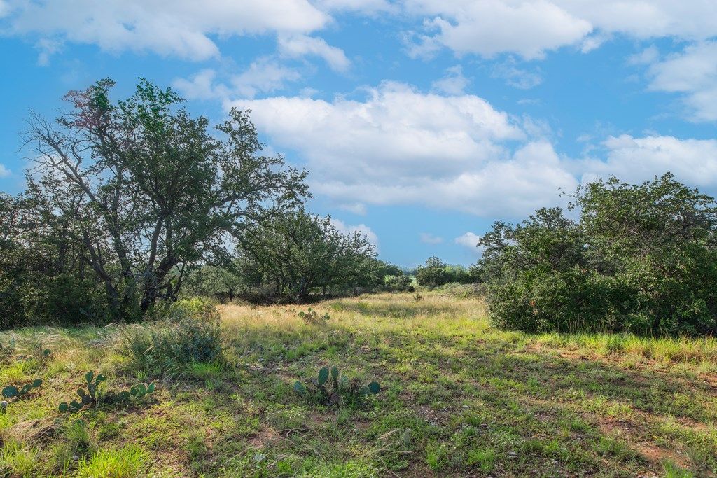Image 52 of property listing at 7554 E Hwy 87, Eden, TX 76837