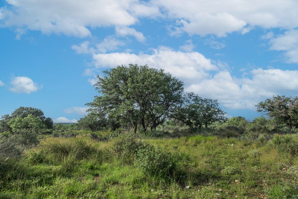 Image 53 of property listing at 7554 E Hwy 87, Eden, TX 76837