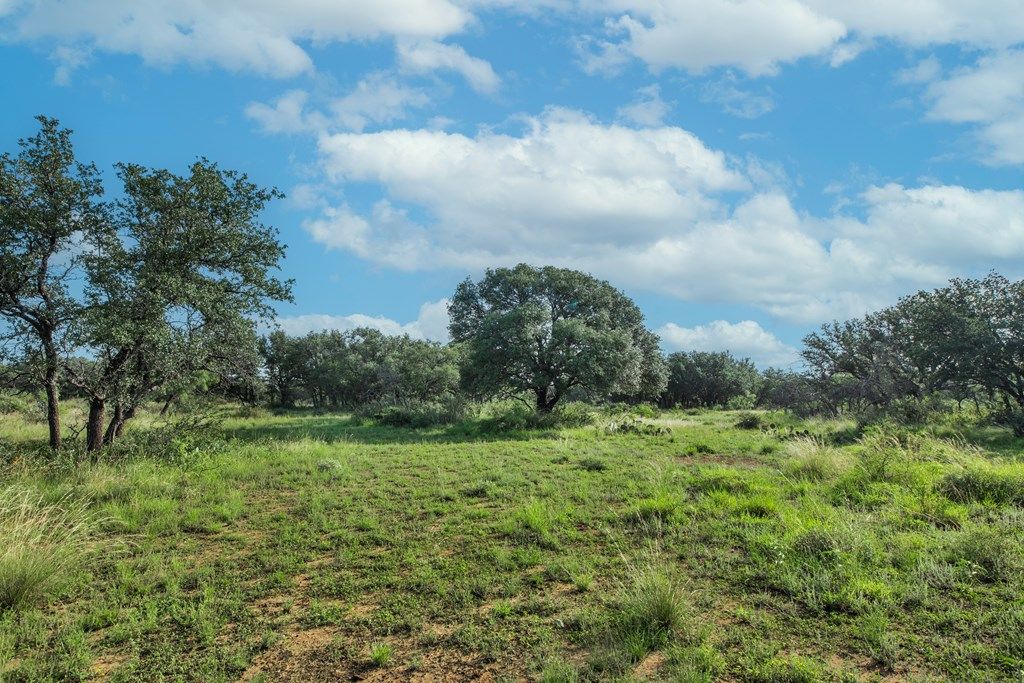 Image 54 of property listing at 7554 E Hwy 87, Eden, TX 76837