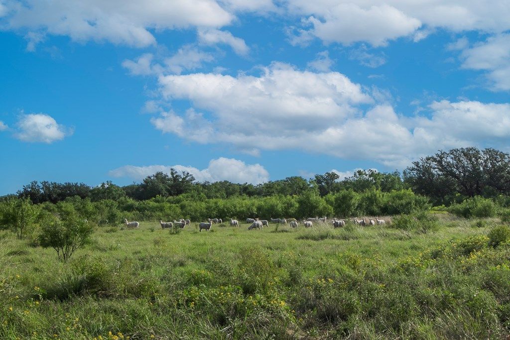Image 55 of property listing at 7554 E Hwy 87, Eden, TX 76837