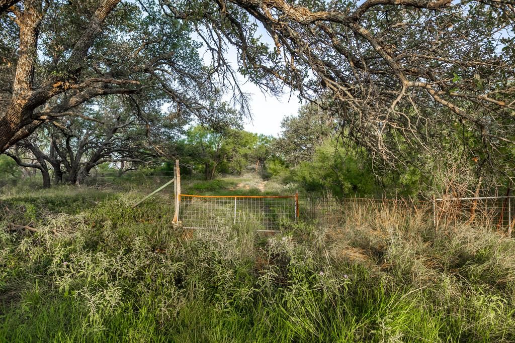 Image 56 of property listing at 7554 E Hwy 87, Eden, TX 76837
