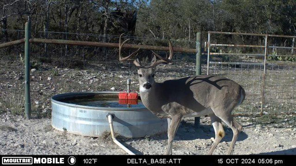 Image 59 of property listing at 7554 E Hwy 87, Eden, TX 76837