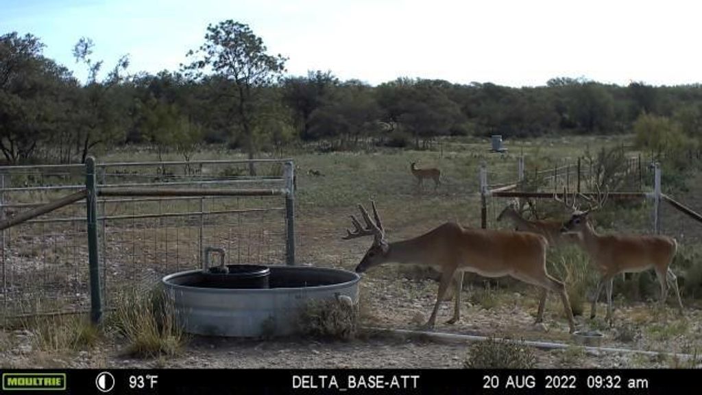 Image 61 of property listing at 7554 E Hwy 87, Eden, TX 76837