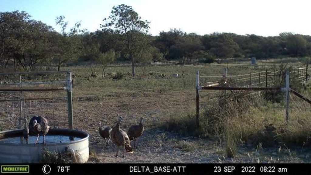 Image 62 of property listing at 7554 E Hwy 87, Eden, TX 76837
