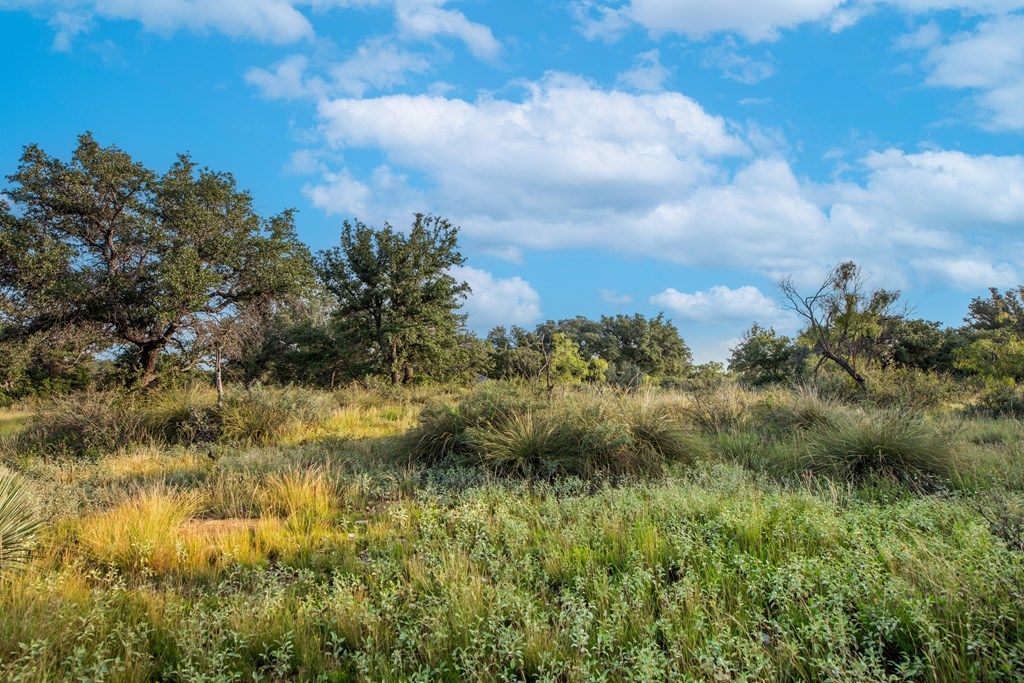 Image 7 of property listing at 7554 E Hwy 87, Eden, TX 76837