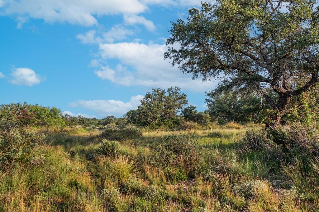 Image 8 of property listing at 7554 E Hwy 87, Eden, TX 76837