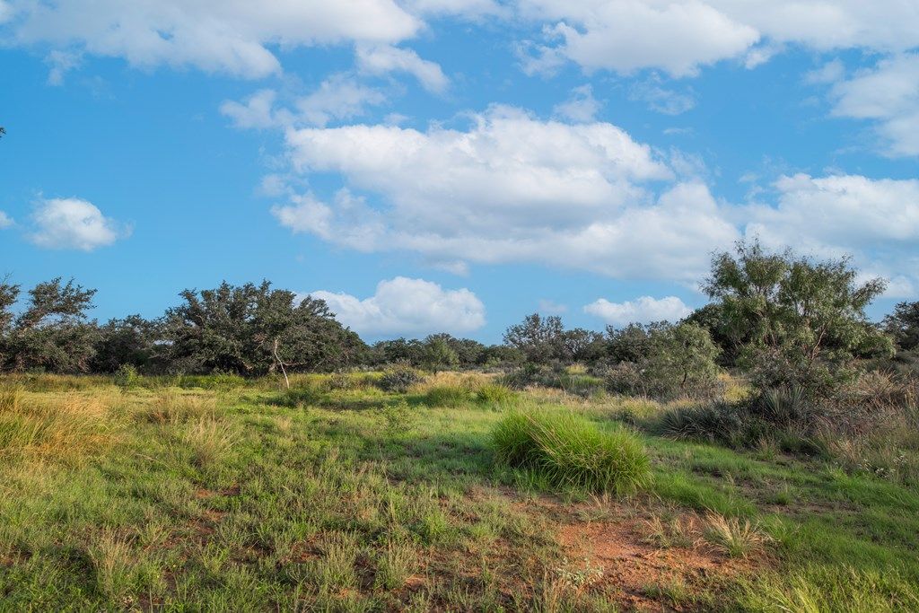 Image 9 of property listing at 7554 E Hwy 87, Eden, TX 76837