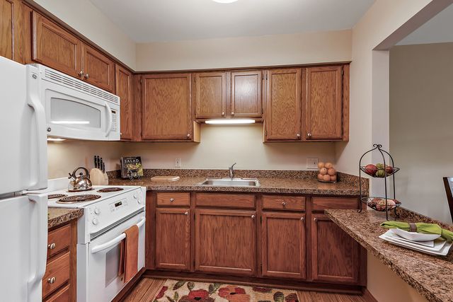 10300 Village Circle Drive 1109, Palos Park, IL 60464