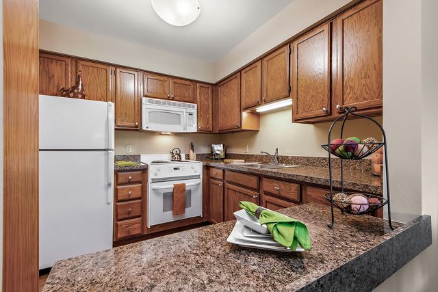 10300 Village Circle Drive 1109, Palos Park, IL 60464