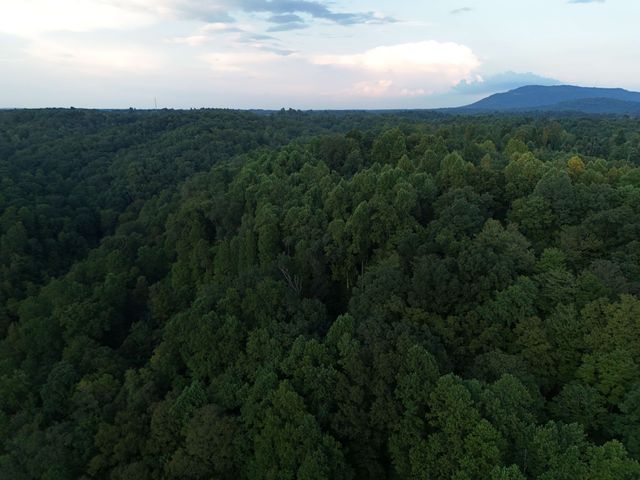 778 Jones Hollow Road, Woodbury, TN 37190