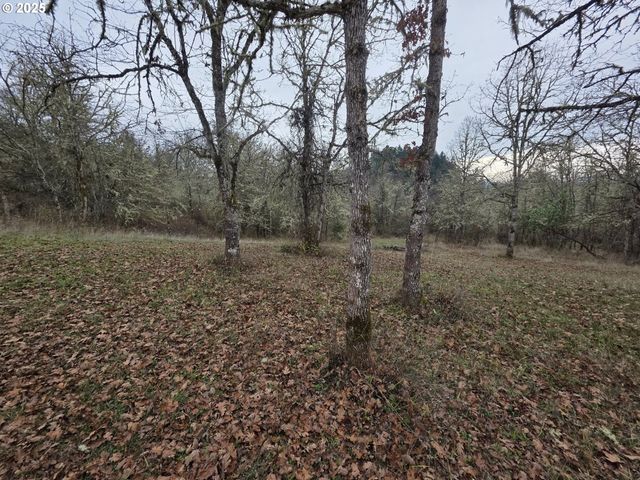 339 JUSTA Ln, Sutherlin, OR 97479