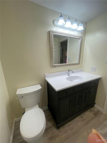 252 Trails End Way, Doniphan, MO 63935