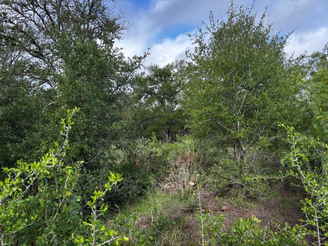 747 County Road 467, Thrall, TX 76578