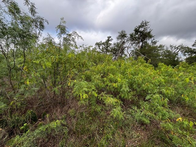 747 County Road 467, Thrall, TX 76578