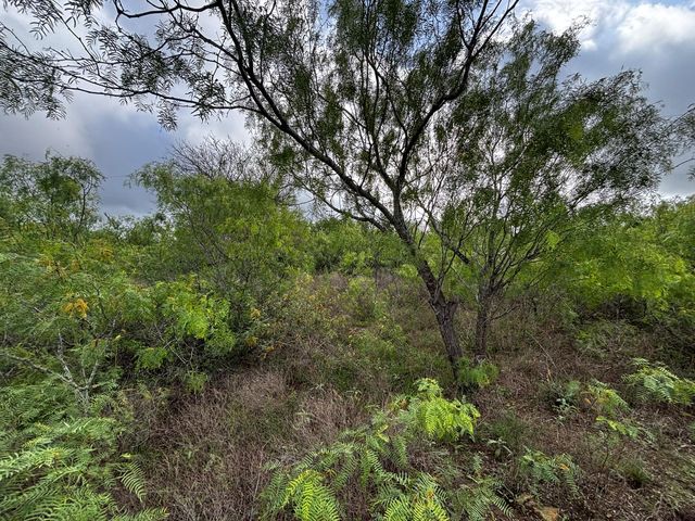 747 County Road 467, Thrall, TX 76578