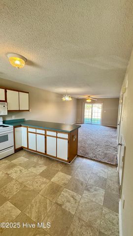 601 Peletier Loop Road D24, Peletier, NC 28584