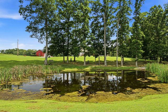 6576 Ed Williams Rd, Greenbrier, TN 37073