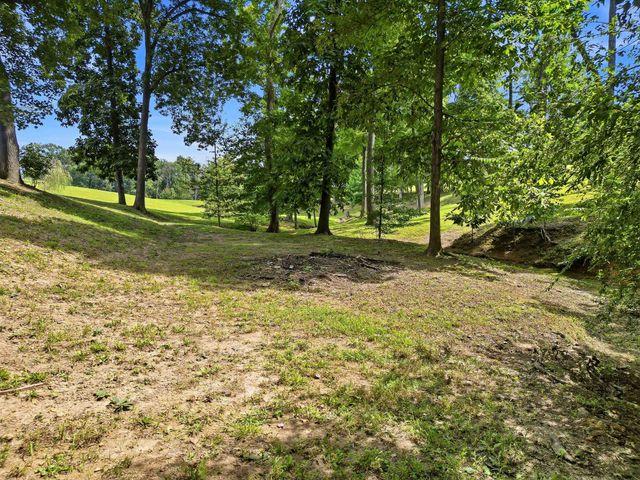 6576 Ed Williams Rd, Greenbrier, TN 37073