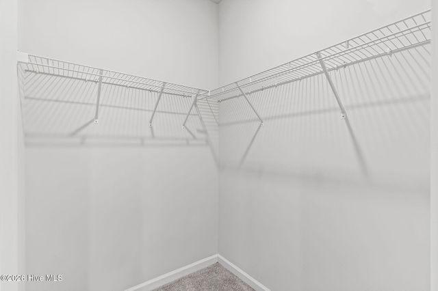 4293 Coralbead Lane, Leland, NC 28451