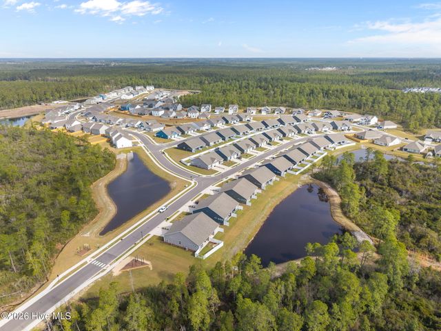 4293 Coralbead Lane, Leland, NC 28451