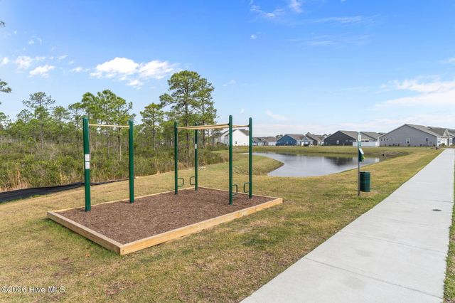 4293 Coralbead Lane, Leland, NC 28451