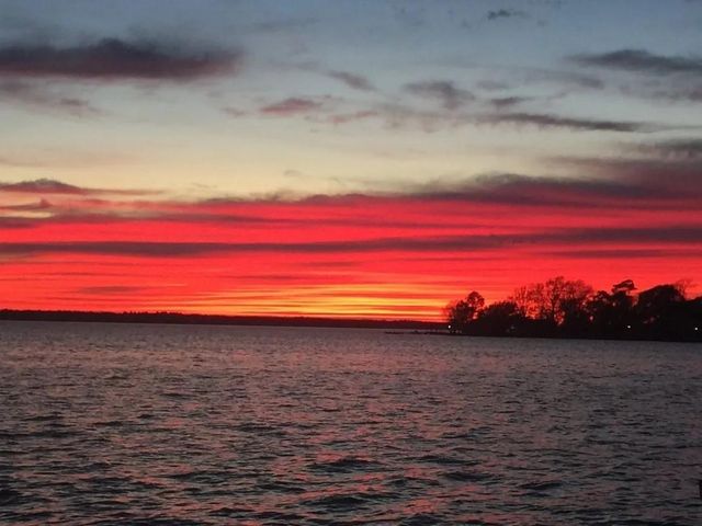 Lot 8 Charolais, Onalaska, TX 77360