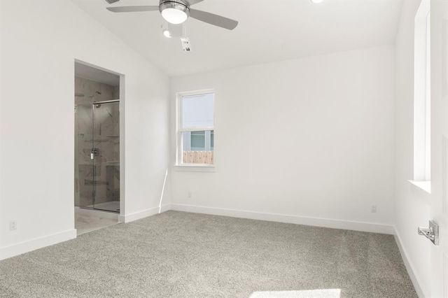 1012 Yaupon Holly DR, Georgetown, TX 78628