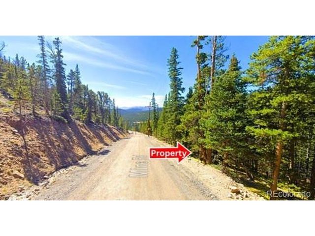 2 Mine Rd, Idaho Springs, CO 80452