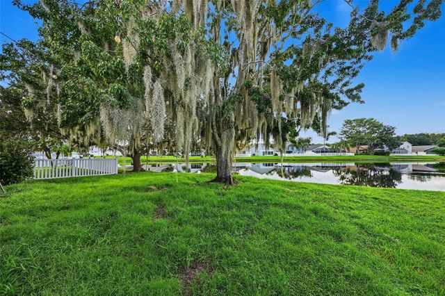 3907 LOCKRIDGE DRIVE, Land O Lakes, FL 34638