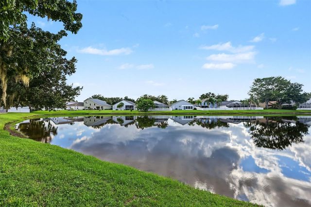 3907 LOCKRIDGE DRIVE, Land O Lakes, FL 34638