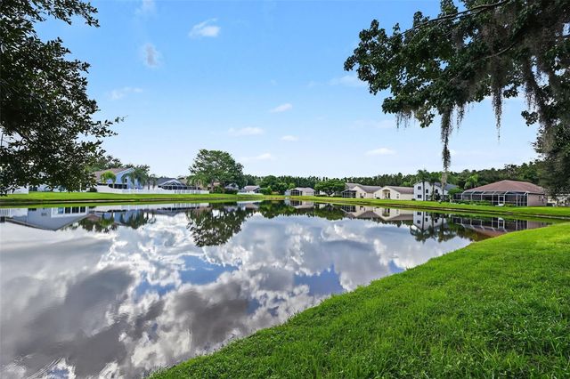 3907 LOCKRIDGE DRIVE, Land O Lakes, FL 34638