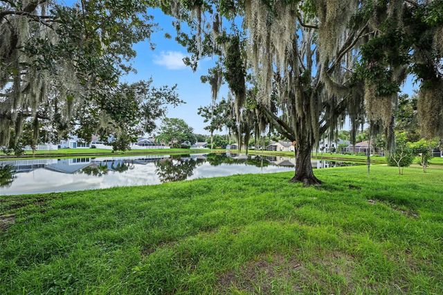 3907 LOCKRIDGE DRIVE, Land O Lakes, FL 34638