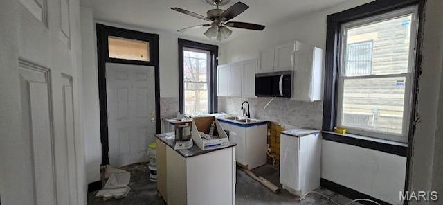 1215 Oakley Place, St Louis, MO 63112