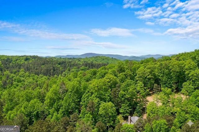 406 Hope Drive, Blue Ridge, GA 30513