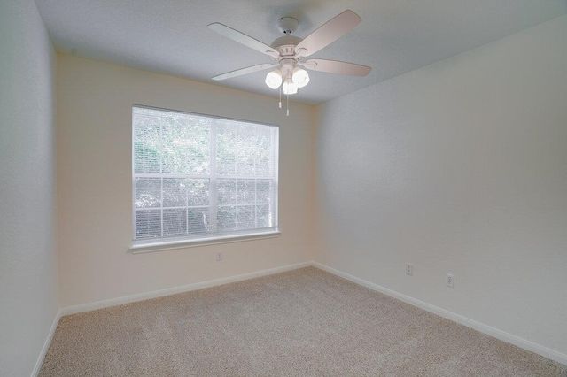 311 Gainer DR, Hutto, TX 78634