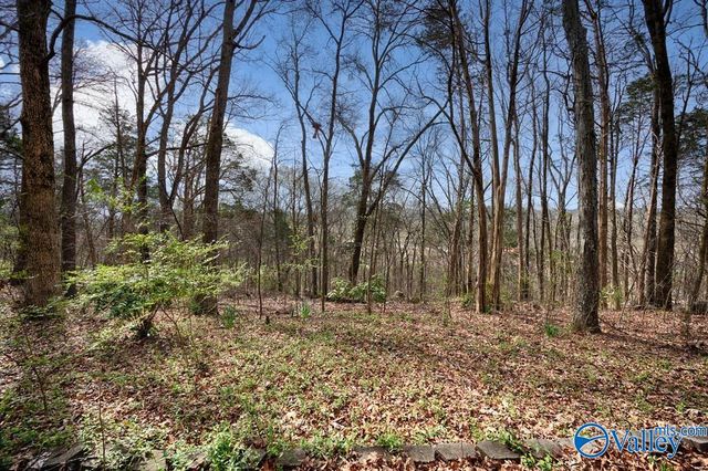 112 Deer Run Lane, Harvest, AL 35749