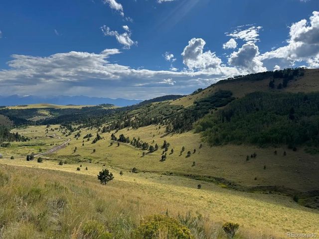 48 Grouse Run, Cotopaxi, CO 81223