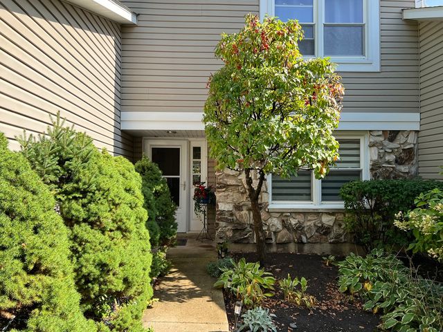 213 Stanyon Lane 1, Bloomingdale, IL 60108