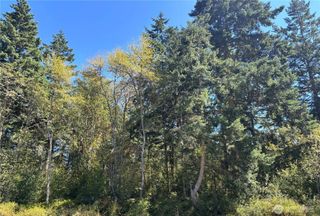 15 xx7 Rainier Street, Port Townsend, WA 98368