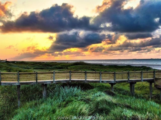 801 E Beach Drive TW2108, Galveston, TX 77550